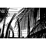 The Cancun Jungle