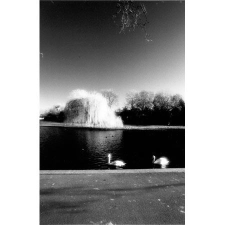 206-01-22.jpg